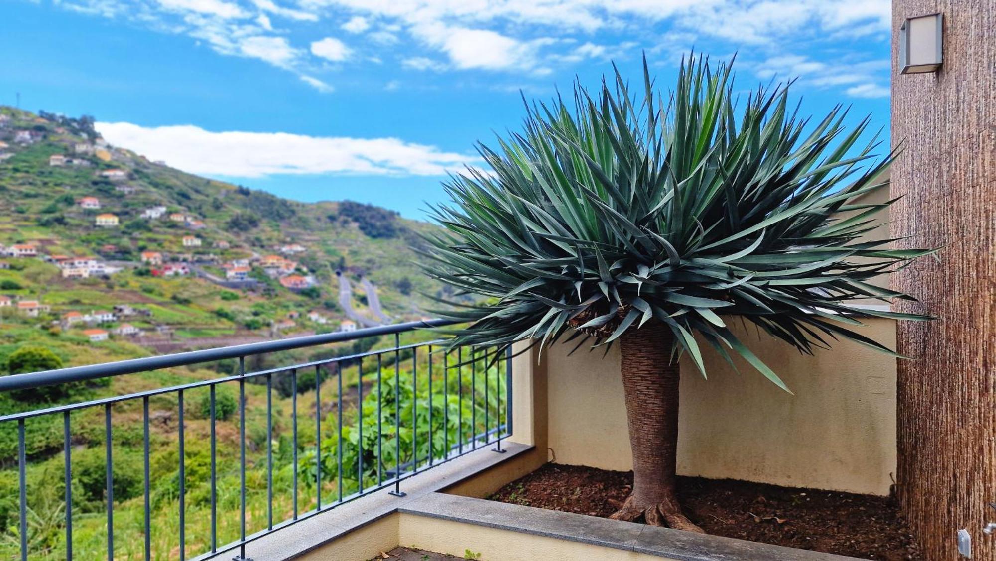 Capela'S House By Lovelystay Ribeira Brava Exterior photo
